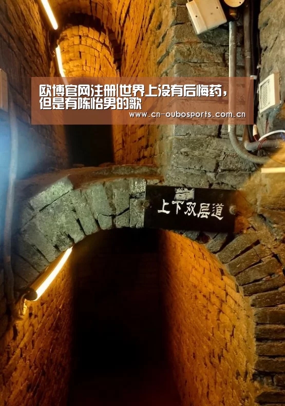 欧博官网注册|世界上没有后悔药，但是有陈怡男的歌