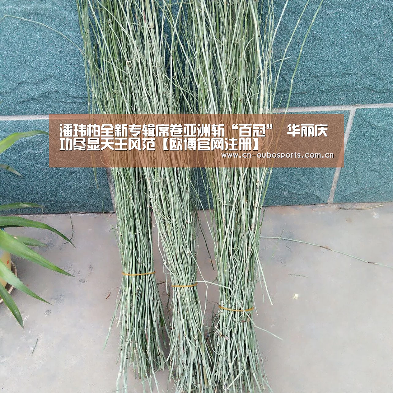 潘玮柏全新专辑席卷亚洲斩“百冠” 华丽庆功尽显天王风范【欧博官网注册】