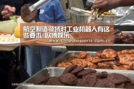 航空制造领域对工业机器人有这些要求_欧博娱乐