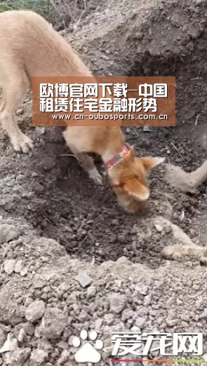 欧博官网下载-中国租赁住宅金融形势系列论坛-南京站圆满落幕