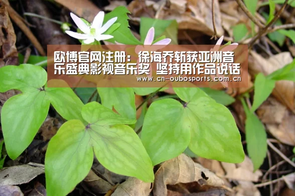 欧博官网注册:徐海乔斩获亚洲音乐盛典影视音乐奖 坚持用作品说话的全能艺人(图4) 欧博娱乐