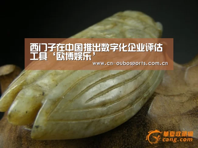 西门子在中国推出数字化企业评估工具‘欧博娱乐’(图3) 欧博娱乐