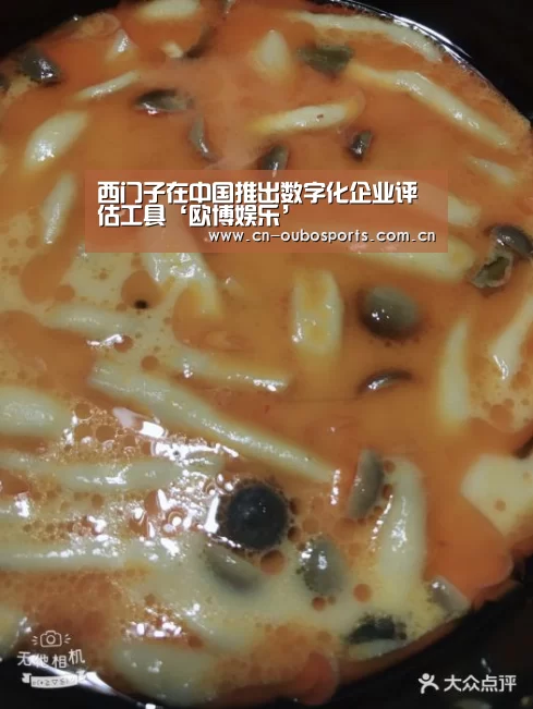 西门子在中国推出数字化企业评估工具‘欧博娱乐’(图4) 欧博官网abg
